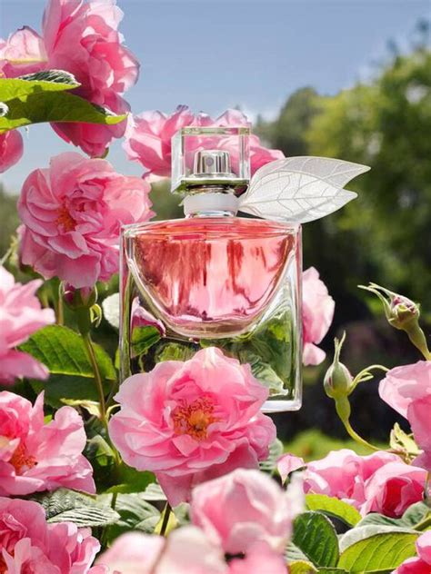 parfum dior la vie est belle|The Ultimate Guide To Every Version Of Lancôme La Vie Est Belle.